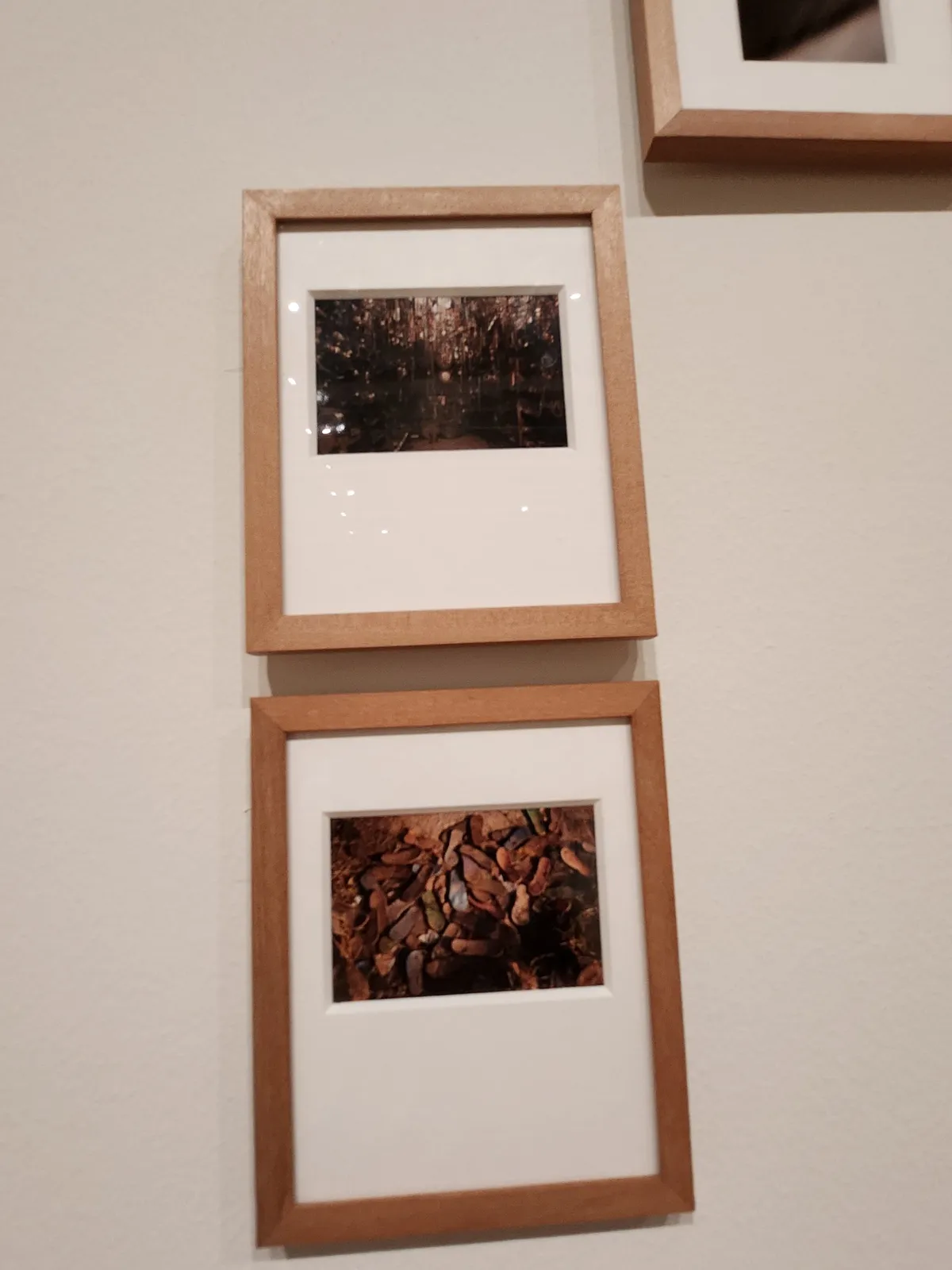 African Photography Gallery Image 126